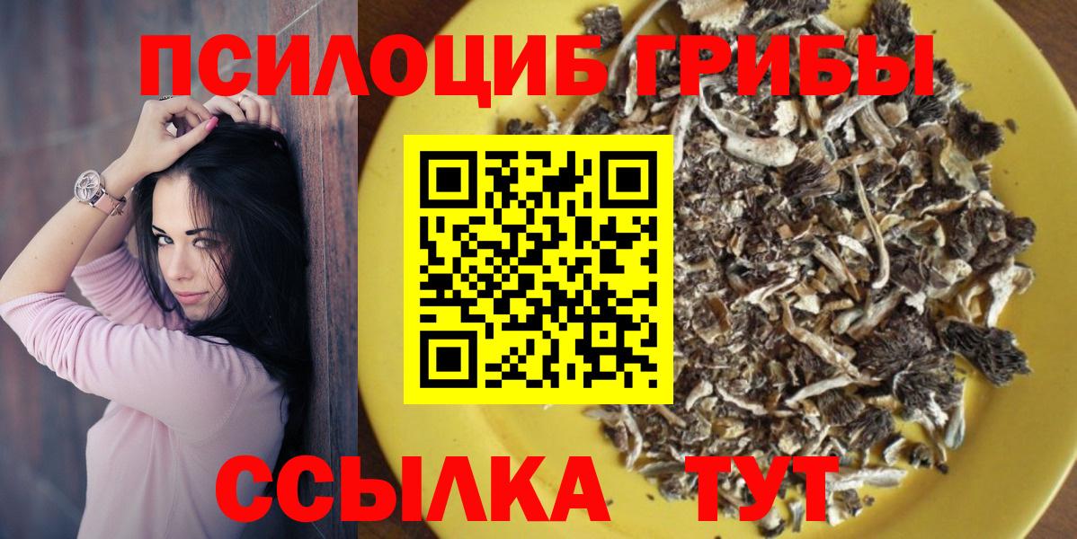 Псилоцибиновые грибы ЛСД  Вход с VPN  Кирово-Чепецк  где продают наркотики  Псилоцибиновые грибы Psilocybe 
